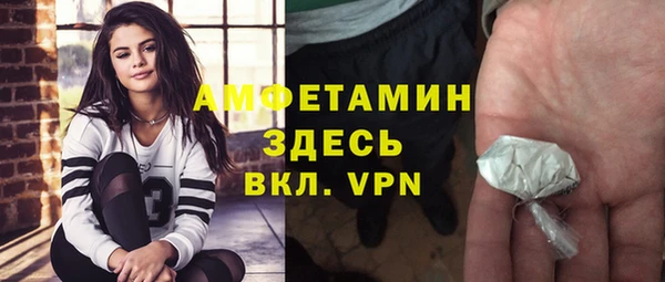 apvp Вяземский