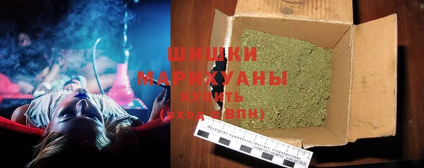 apvp Вяземский