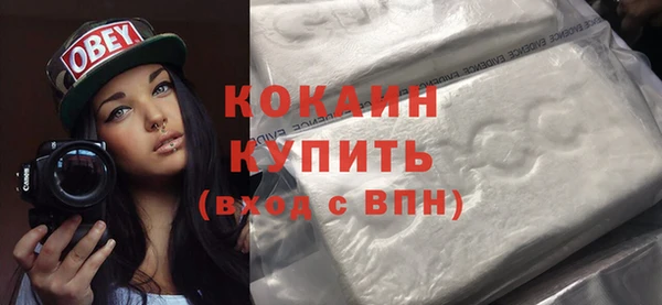 шишки Вязники