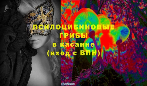 шишки Вязники