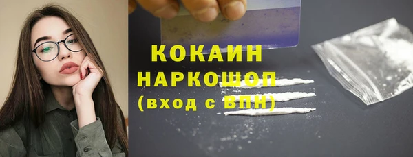 apvp Вяземский