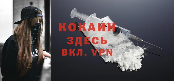 шишки Вязники