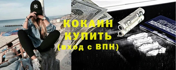 apvp Вяземский