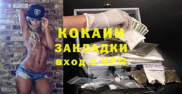 apvp Вяземский