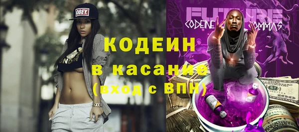 apvp Вяземский