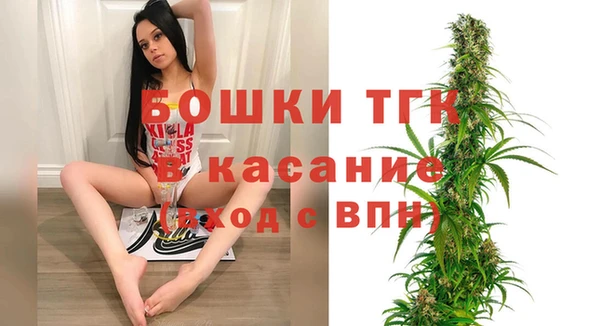 шишки Вязники