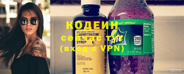 шишки Вязники