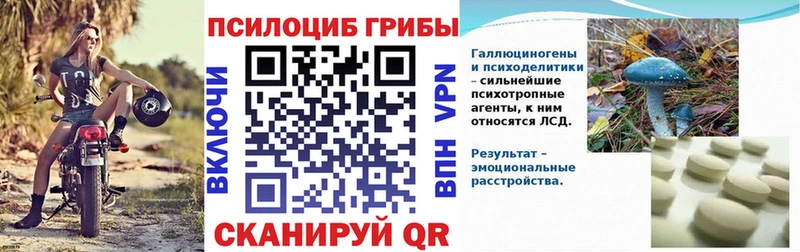Галлюциногенные грибы Cubensis  Кызыл 